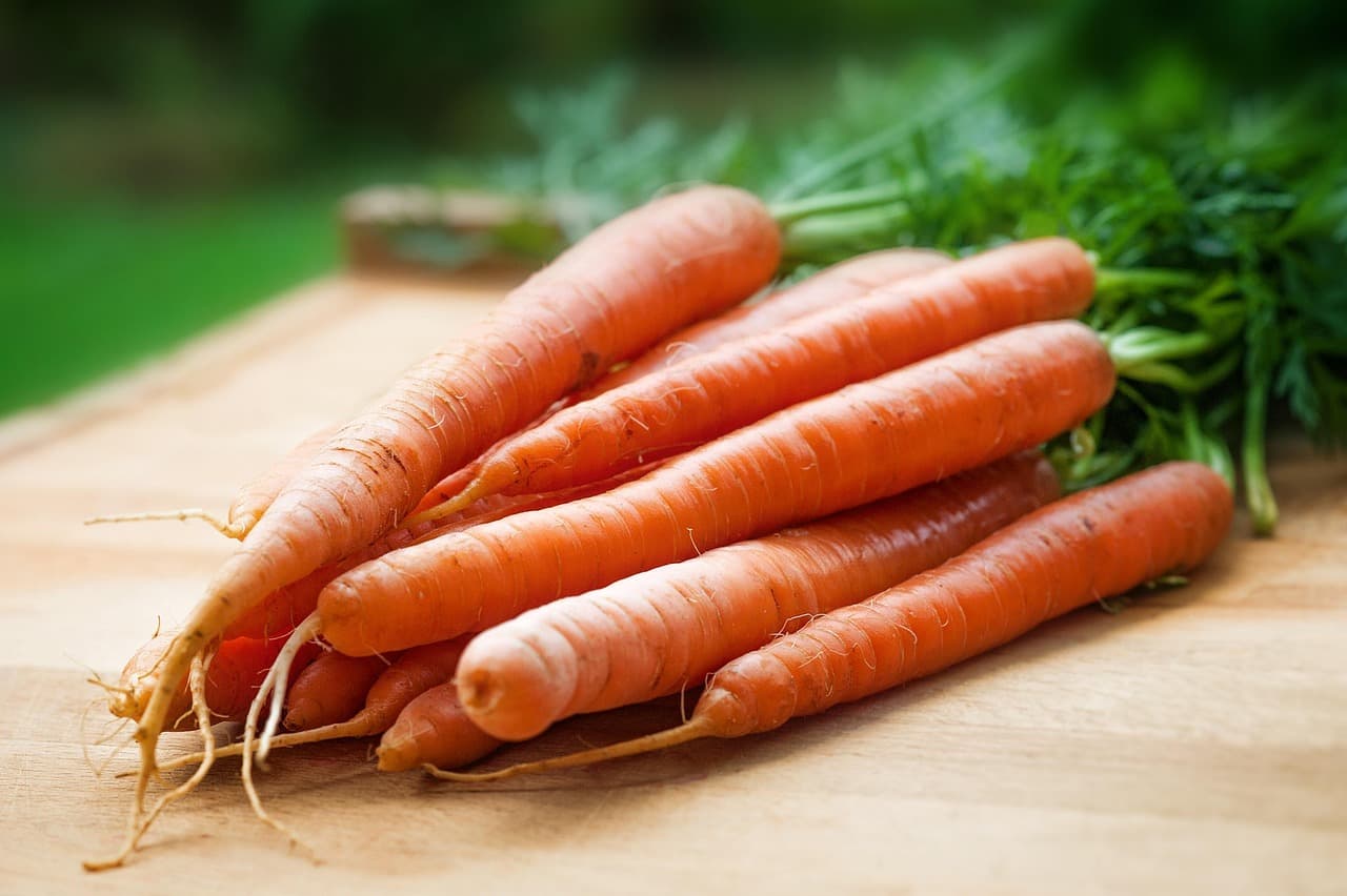 Carrots wholesale vegetables from IBZ World Imports LTD