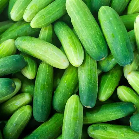 Cucumber wholesale vegetables from IBZ World Imports LTD