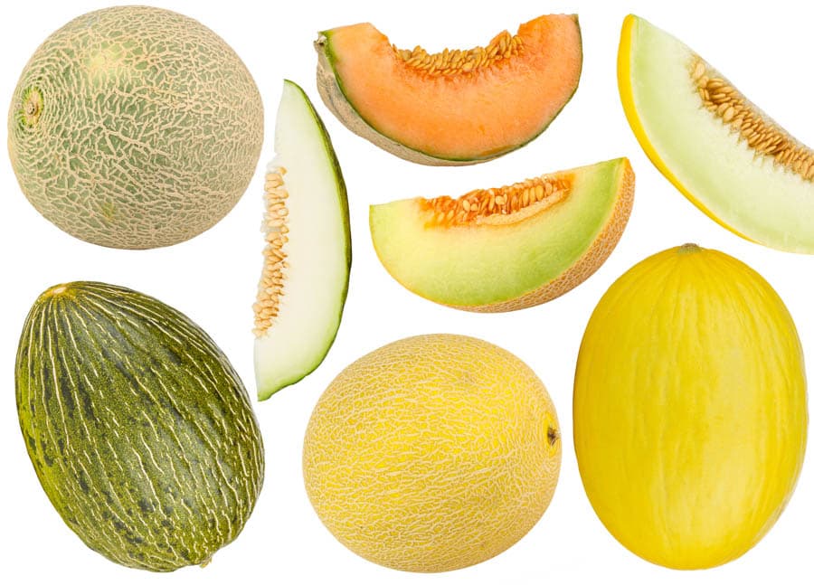 Melon wholesale fruits from IBZ World Imports LTD