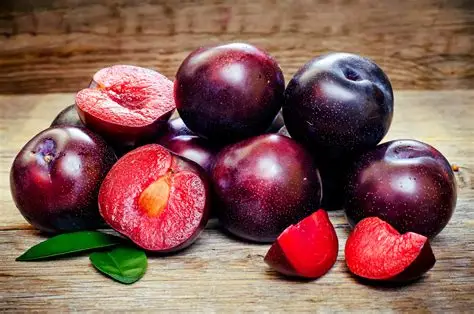Plum wholesale fruits from IBZ World Imports LTD