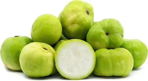 Tinda wholesale vegetables from IBZ World Imports LTD